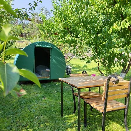 Nataly Campsite Yeghegnadzor Екстериор снимка