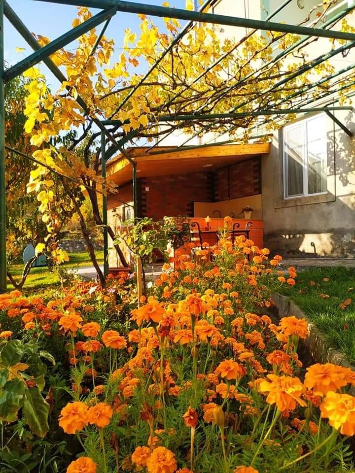 Nataly Campsite Yeghegnadzor Екстериор снимка
