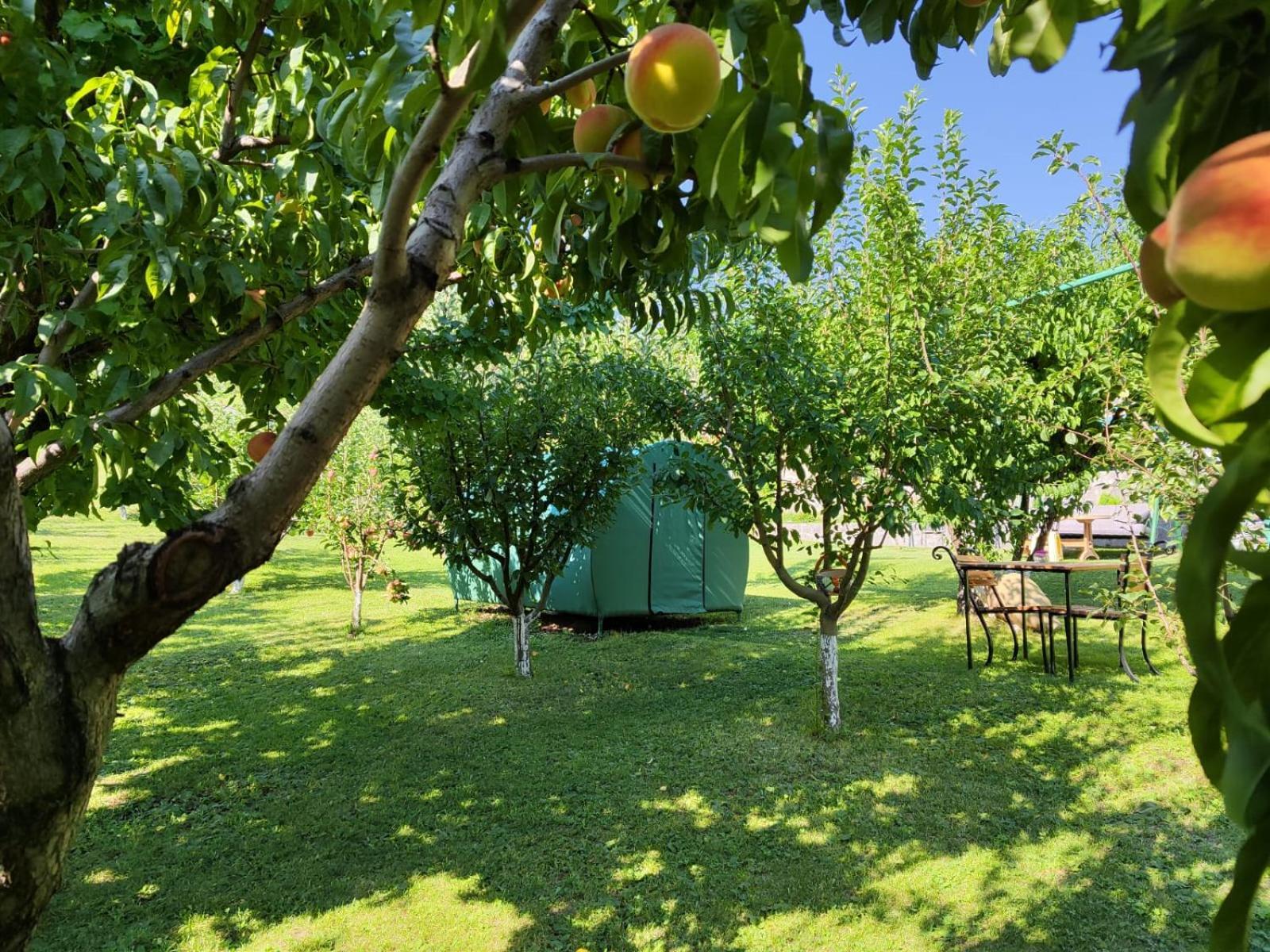 Nataly Campsite Yeghegnadzor Екстериор снимка